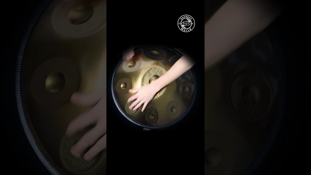 Horayzon Beginner D Kurd 9 #handpan #handpanworld