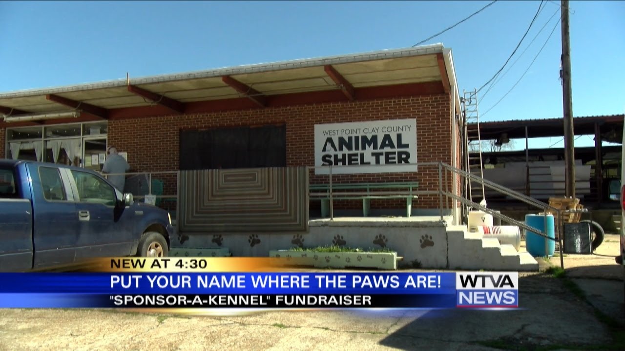 Kennel sponsorship helps West Point animal shelter cover costs