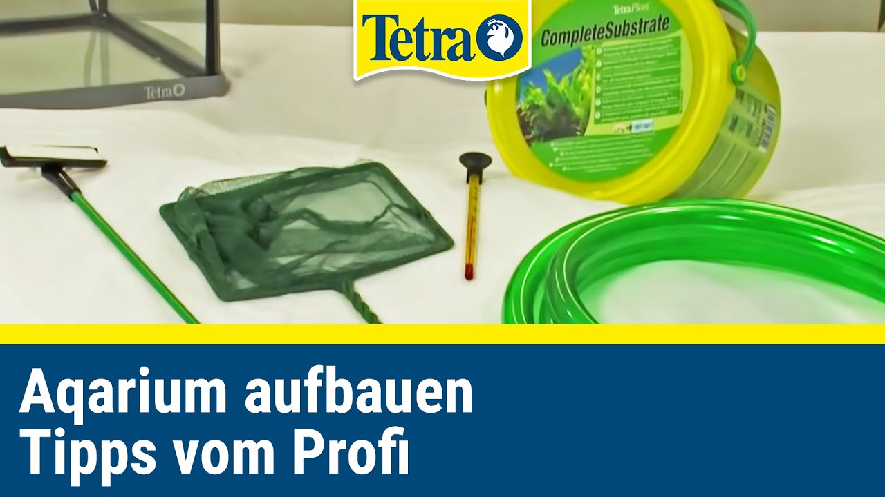 Aquarium aufbauen | Einsteiger Tipps und Tricks vom Profi!