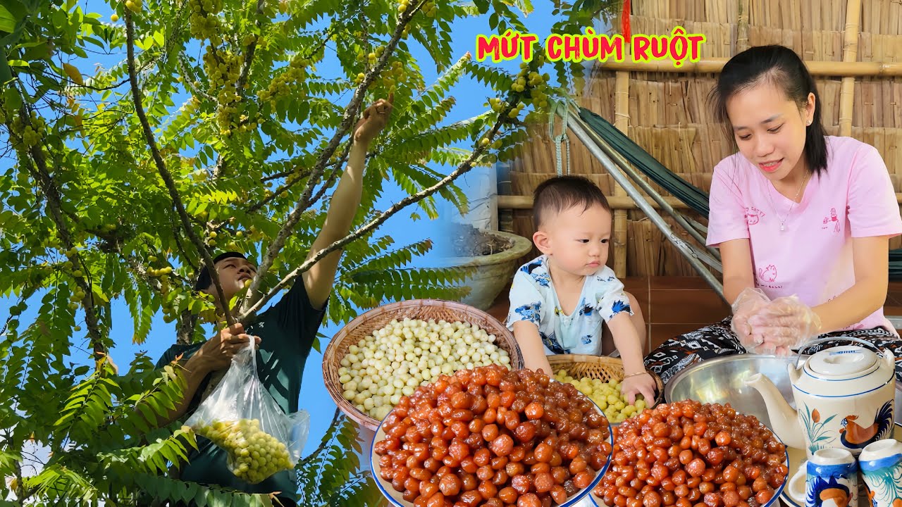 Làm Mứt Chùm Ruột Ngày Tết Lên Màu Tự Nhiên Với Cách làm đơn giản - Em bé cùng Mẹ làm Mứt