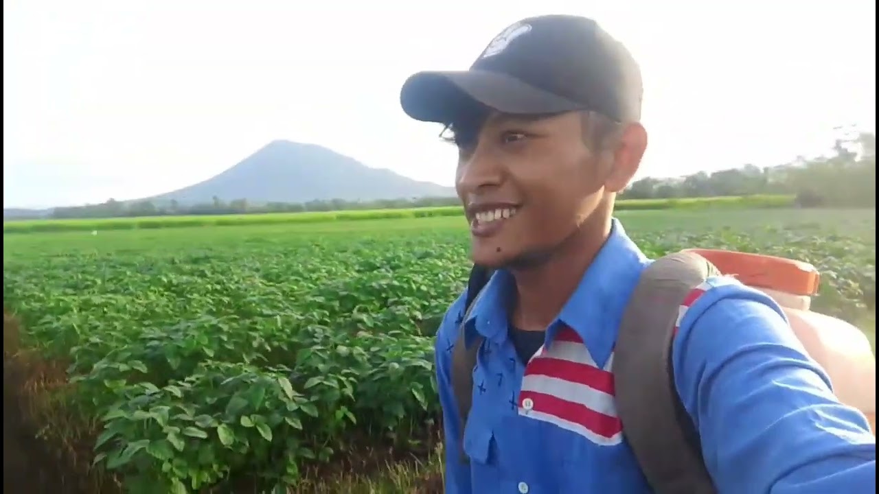 Semuanya kelihatan indah alam ciptaan Allah