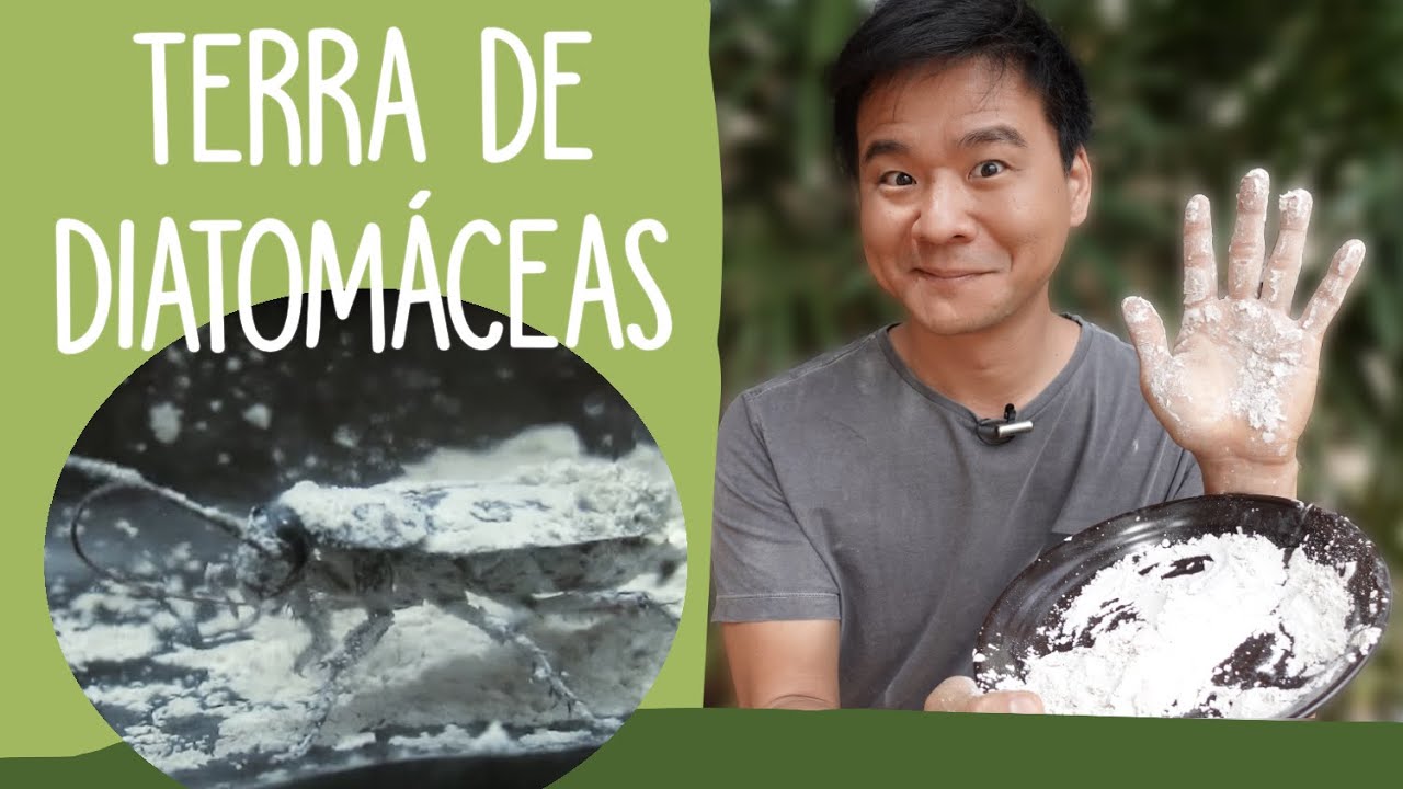 TERRA DE DIATOMÁCEAS como inseticida - É uma boa?