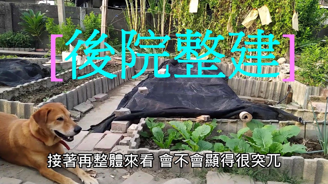 [後院整建]07 菠菜再度進場 終於算是成功發芽了 不過 種植環境改善才是本片目的 巧妙的安排澆水位置 半徑三公尺內的菜 原地就可澆到了 算是又縮減澆水的速度與效率.....