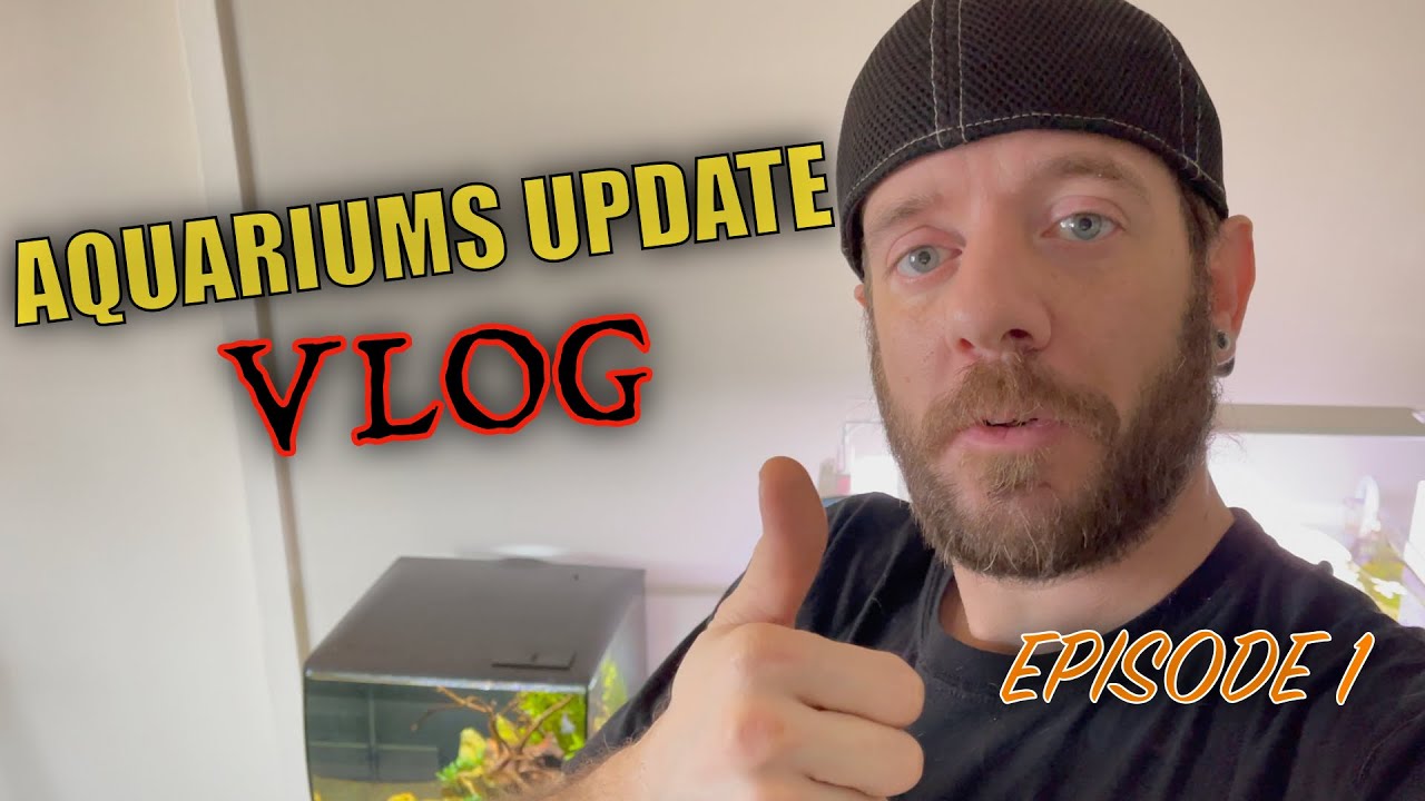 Aquarium Update Vlog - Episode 1