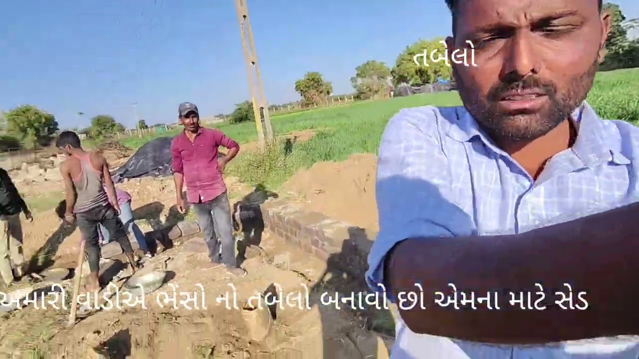#તબેલો  #ખેડૂત  #ફાર્મ  #હાઉસ  #sed #bafelo મારા ફાર્મ હાઉસ પર તબેલા નું કામ ચાલુ 