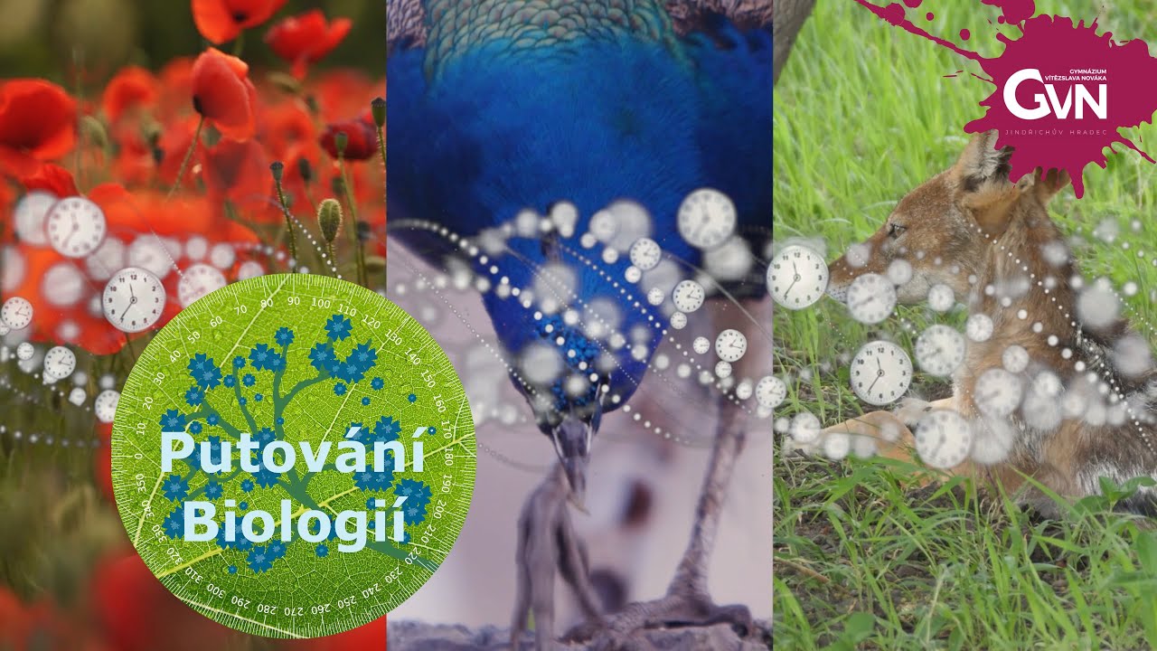 Putování Biologií - Čas života na Zemi