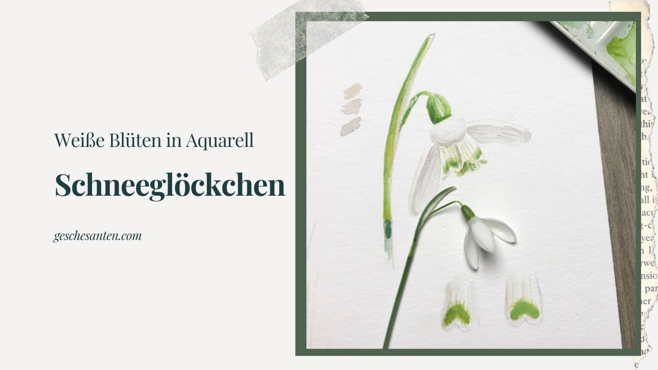 Schneeglöckchen - Weiße Blüten in Aquarell malen