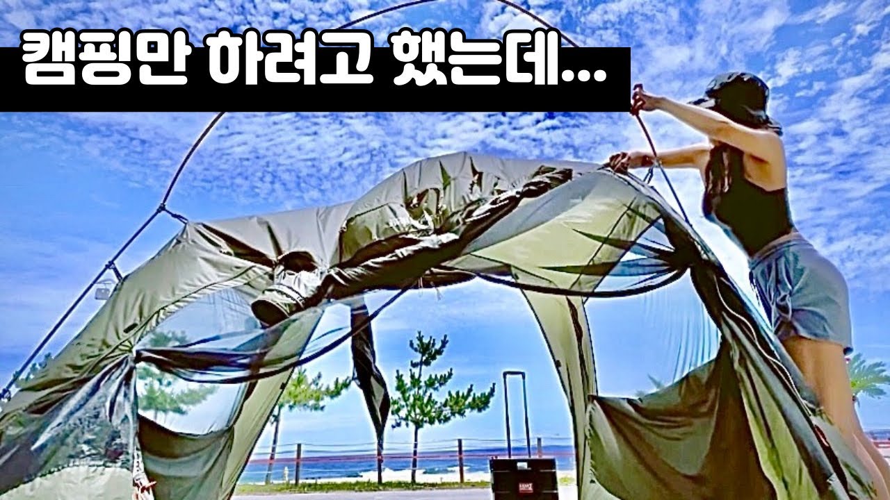폭염? 여름 바다를 즐기는 법 / 더우니까 여름이다 / 솔로 캠핑