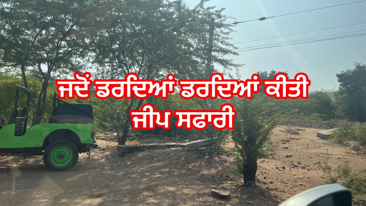 ਜਦੋਂ ਡਰਦਿਆਂ ਡਰਦਿਆਂ ਕੀਤੀ ਜੀਪ ਸਫਾਰੀ 