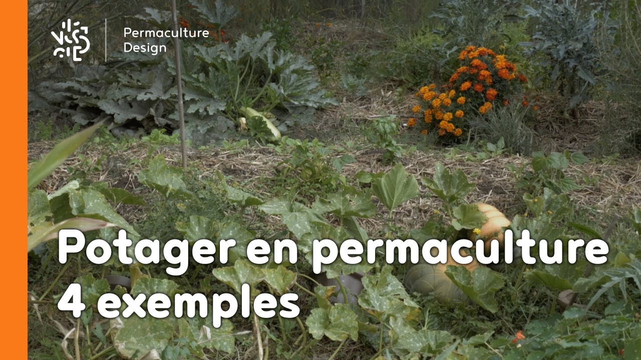 Potagers en permaculture : 4 exemples sur le m&ecirc;me jardin