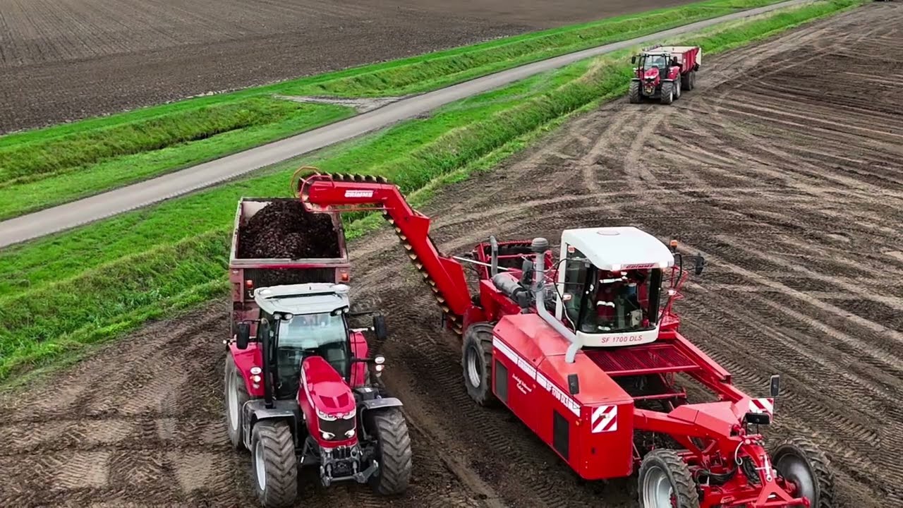 Het gehele proces van kroten rooien t/m opslag.