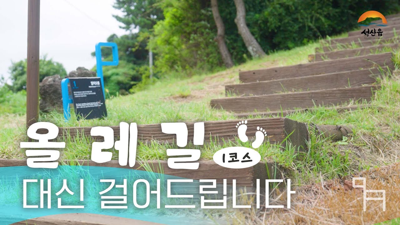 올레길 대신 걸어드립니다-1코스 편