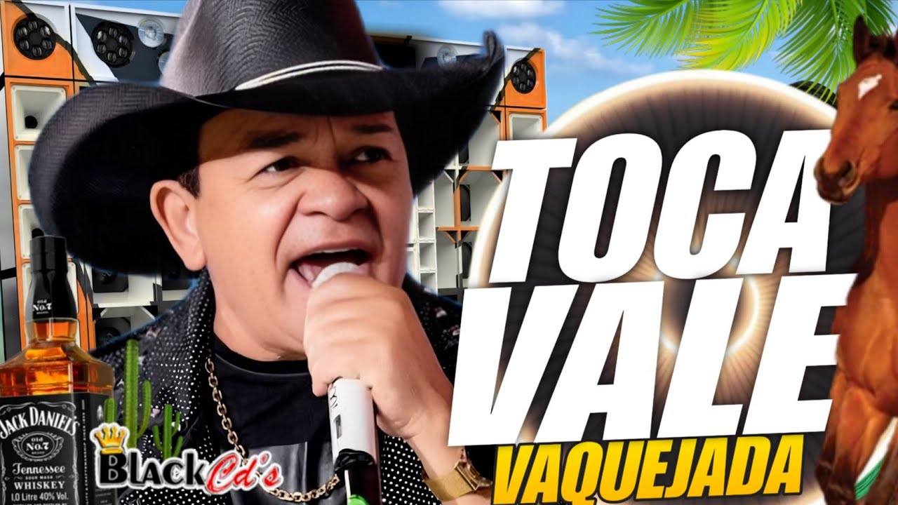FORROZÃO DE VAQUEJADA 2025 - SELEÇÃO DE OURO TOCA DO VALE SÓ AS MELHORES- XOTE PRA PAREDÃO BLACK CDS