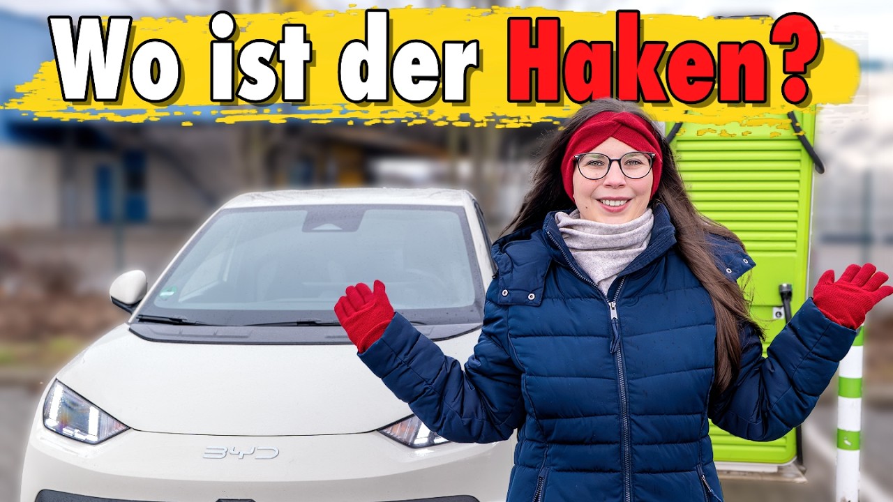 BYD Dolphin Surf im Winter Alltagstest - Wo ist der Haken?