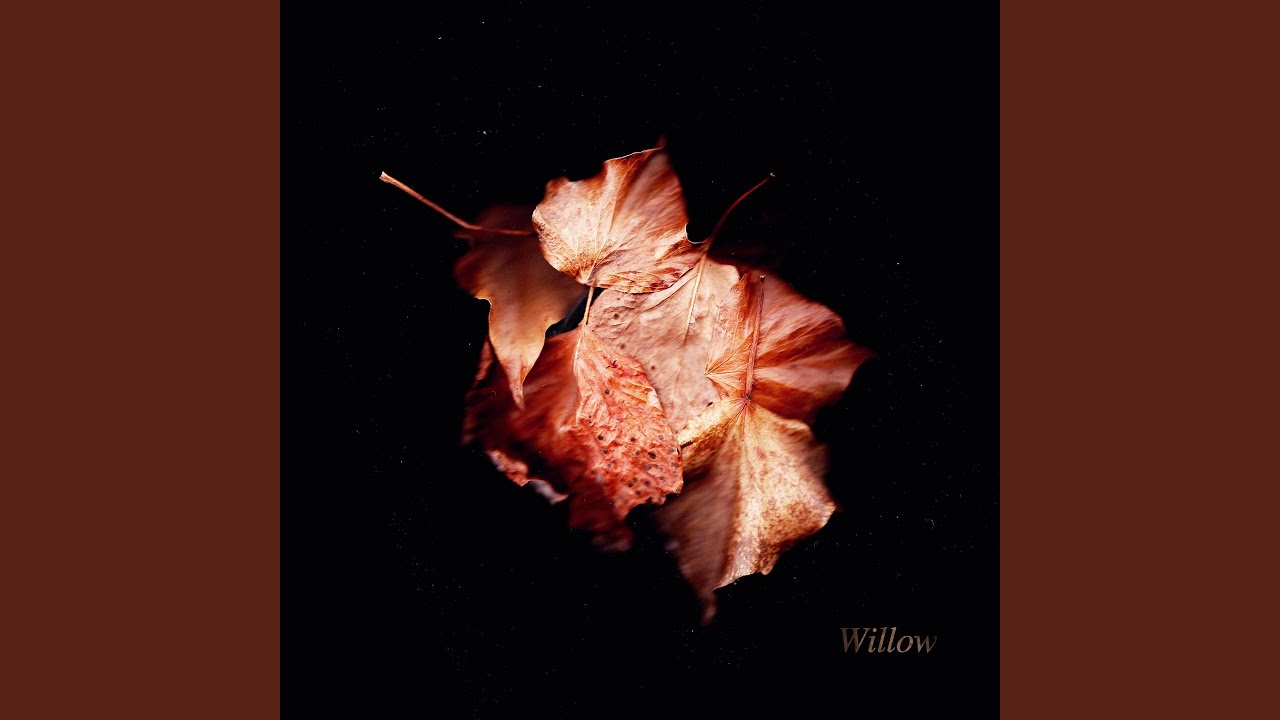 Willow, Pt.1