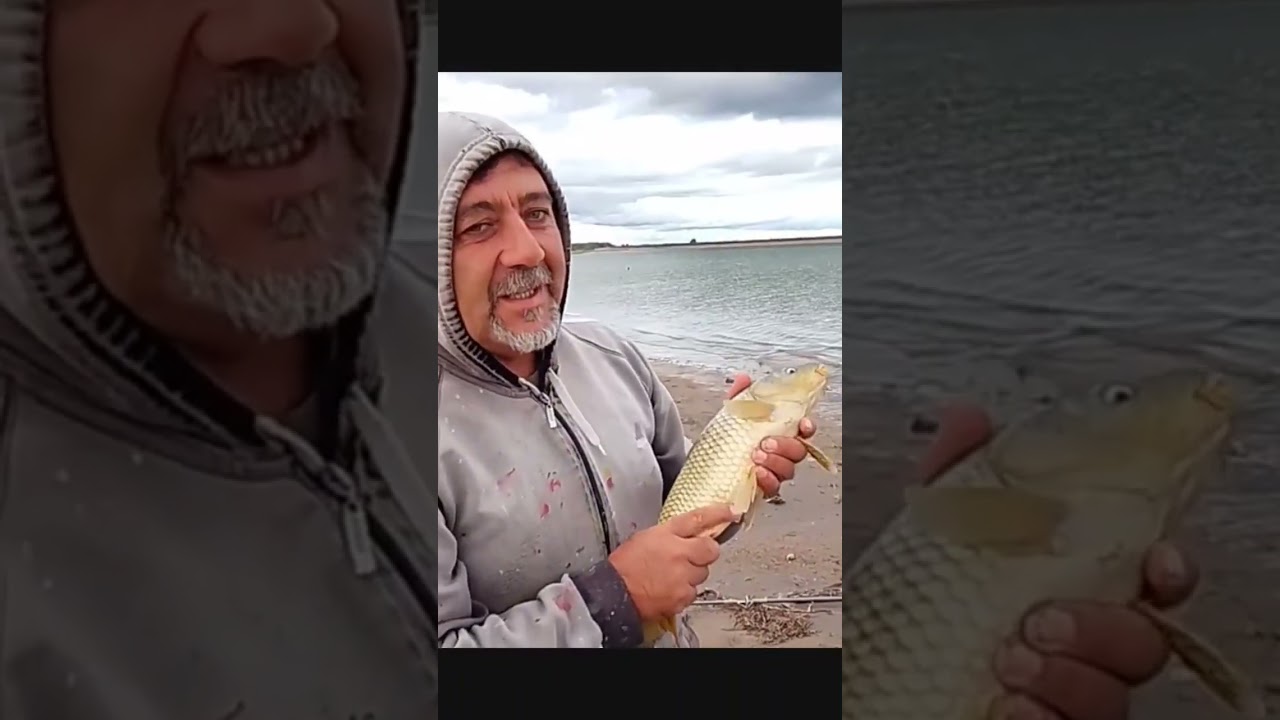 #pesca