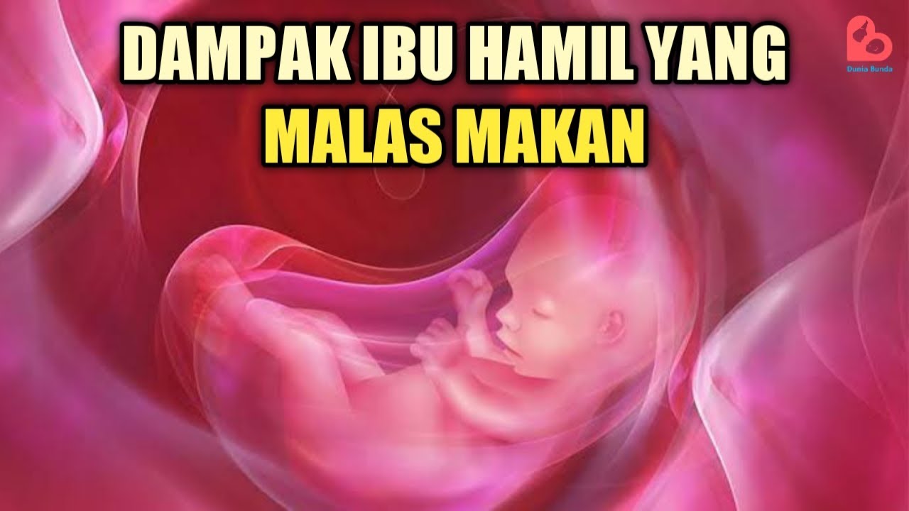 Ibu Hamil Jangan Malas Makan, Ini Dampaknya bagi Janin di Dalam Kandungan