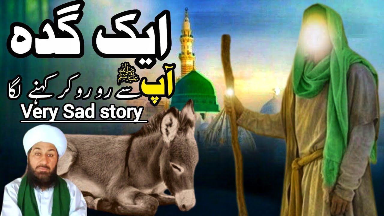 Molana alam jat naeemi new bayan #2024 | story of Donkey