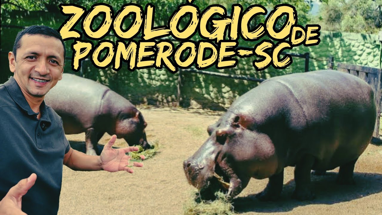 ZOO POMERODE SANTA CATARINA VOC&Ecirc; CONHECE? MUITO BOM! ESSE ZOOL&Oacute;GICO DE POMERODE.