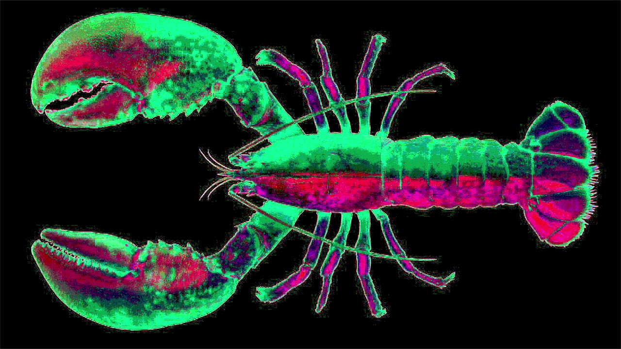 TONE OF ARC - LOBSTER MIX