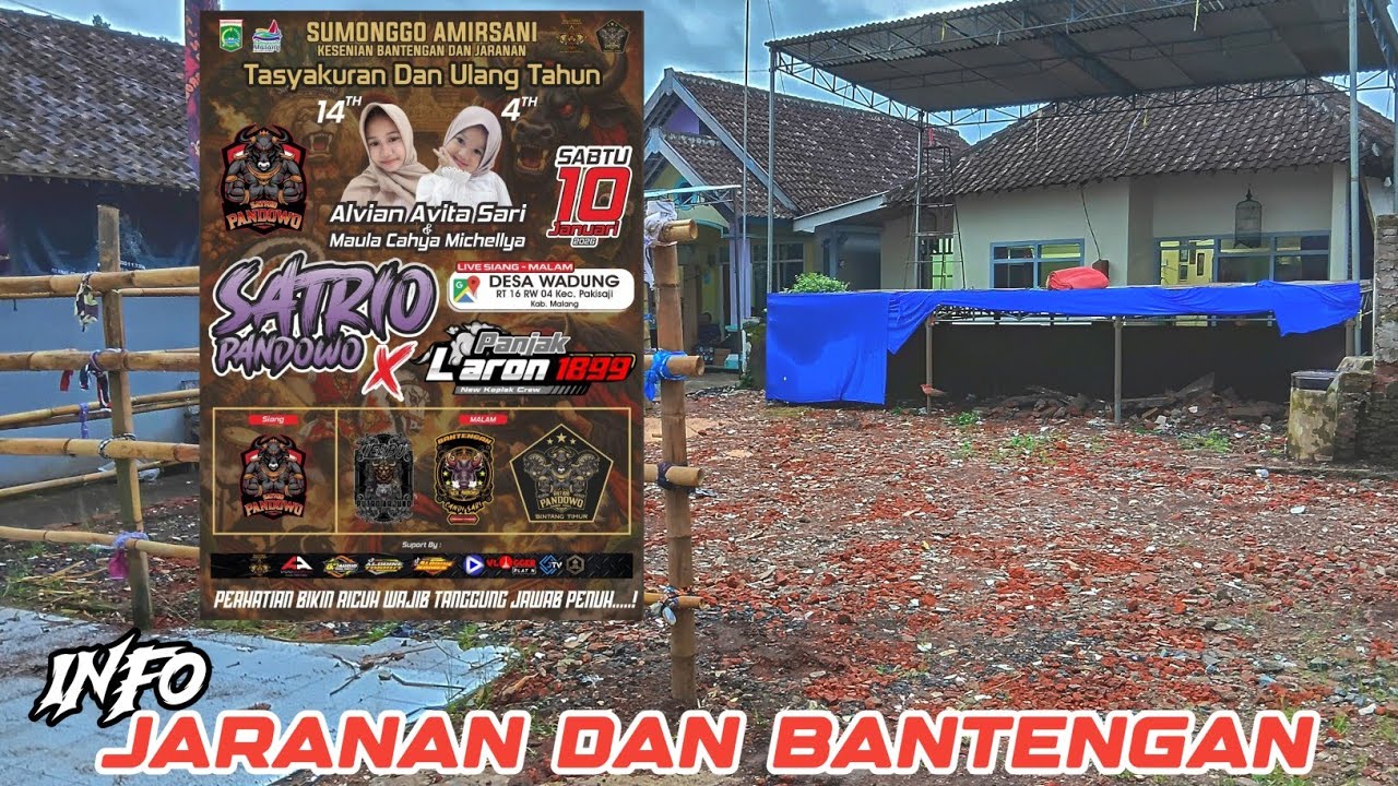 INFO BANTENGAN JARANAN‼️SATRIO PANDOWO × LEMBU PUTRO ARJUNO × BANTENG CANDI SARI | Wadung Pakisaji