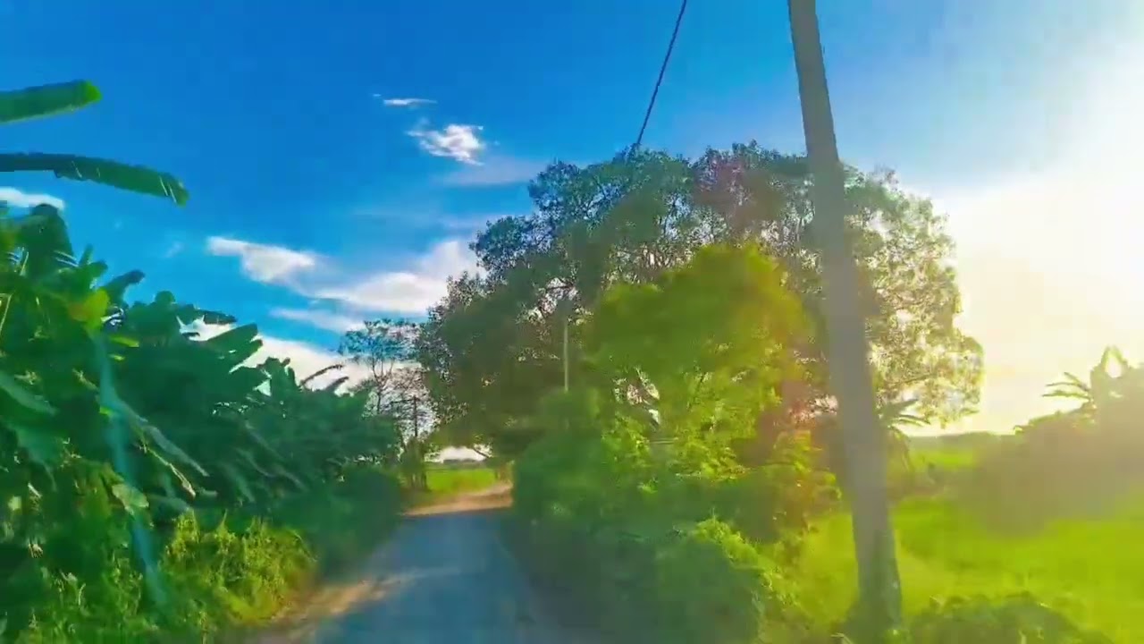 গ্রামের প্রাকৃতিক 