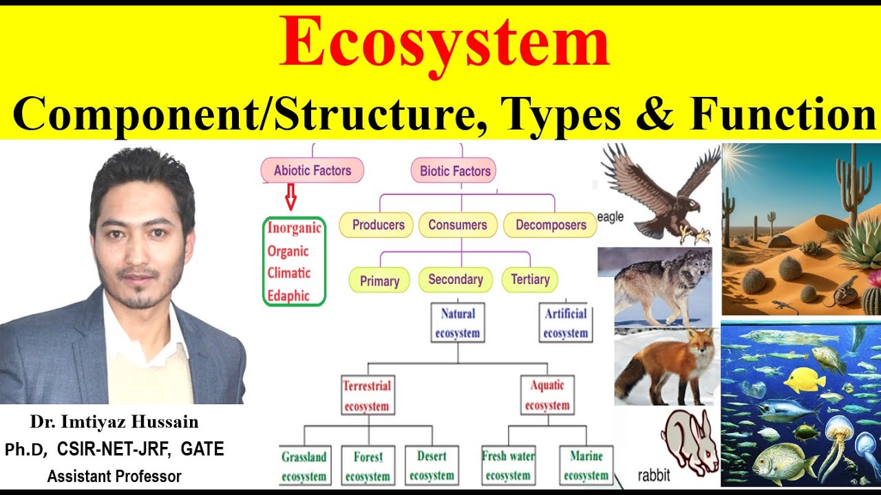Ecosystem Structure / Component, Types & Function #ecosystem Biotic and Abiotic factors.
