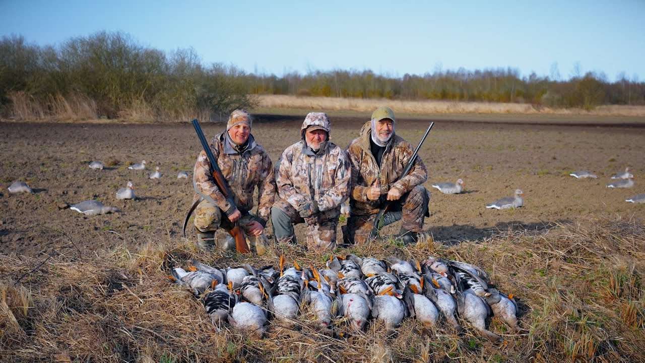 Охота в Беларуси  На гуся весной