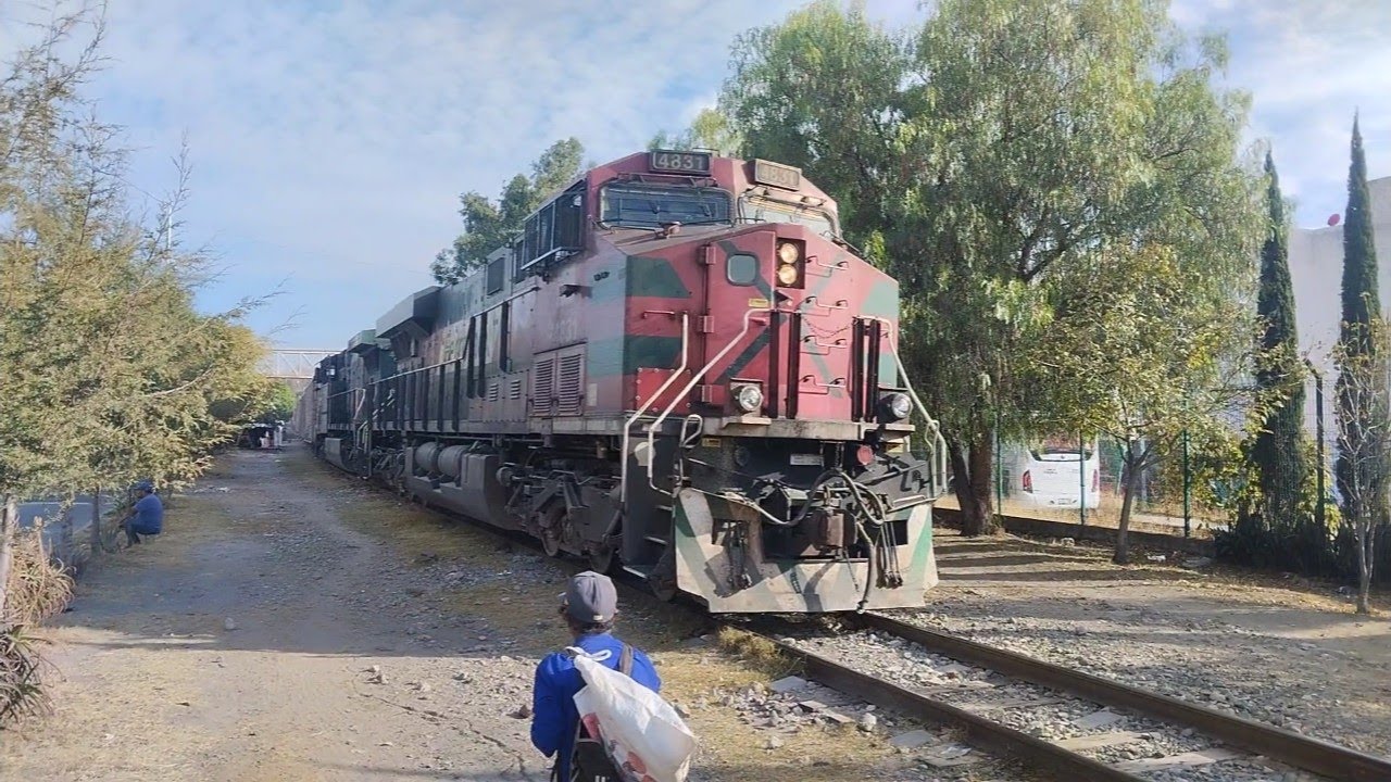 FSRR 4831 y la rana 4411 velocidad rápida para patio 👀👀🥷🏻