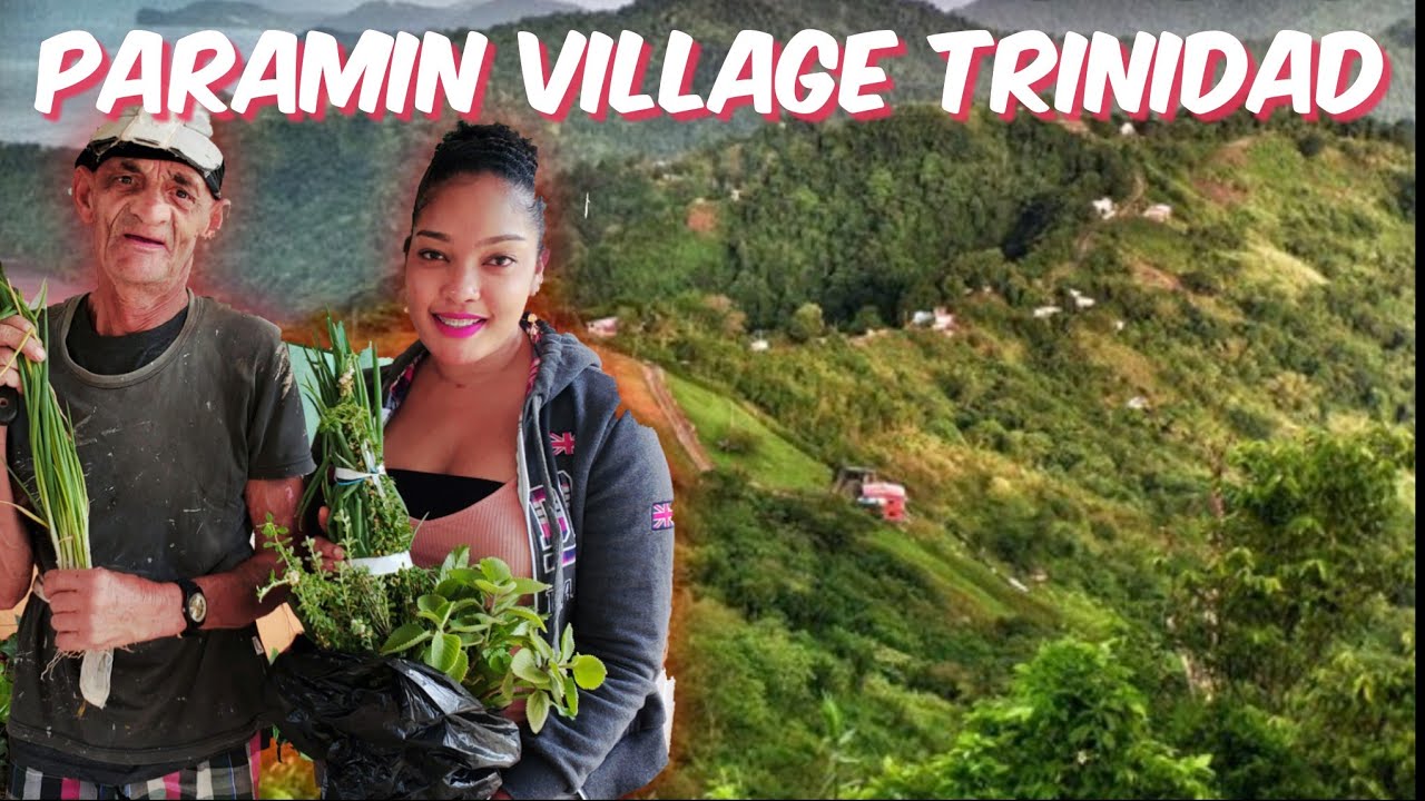 Tour of Paramin Village Trinidad | Trinidad Youtuber
