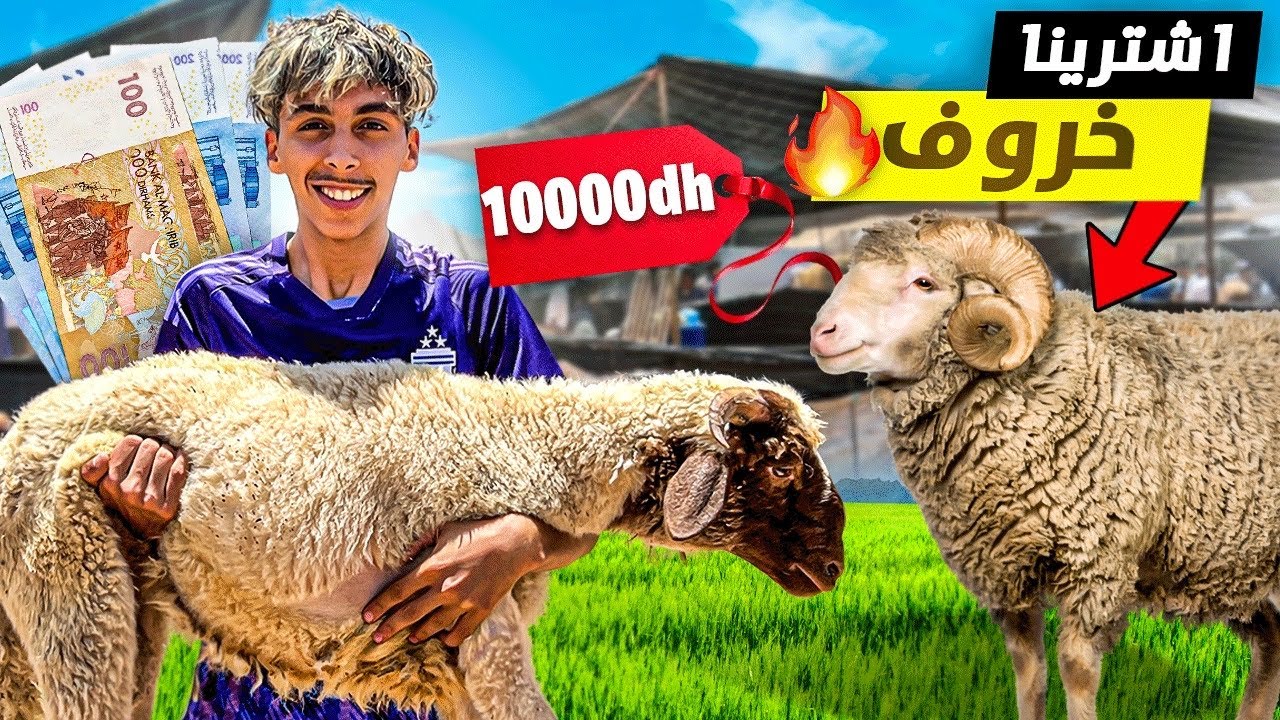 و أخيرا إشترينا أغلى خروف العيد 🐏😱 شوفوا شنو دار لسعدوش 💔😭