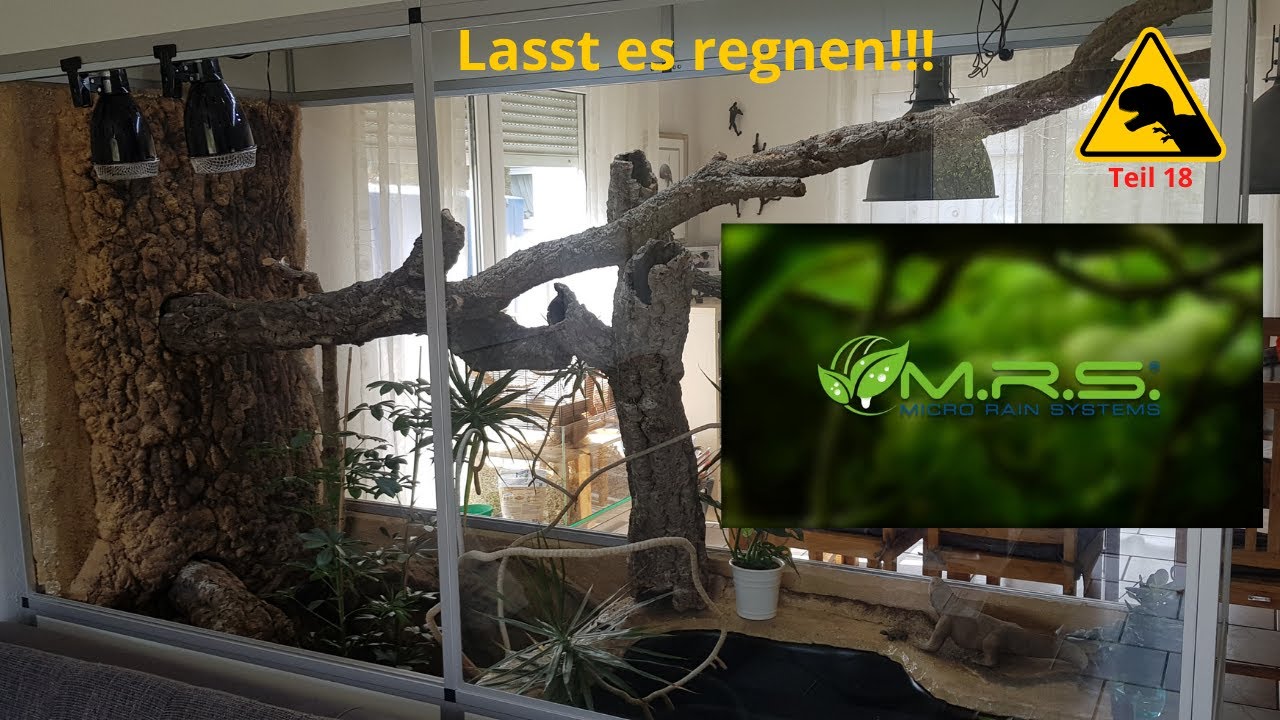 Beregnungsanlage von MRS Micro Rain Systems fürs Terrarium, Leiseläuferpumpe im Vergleich. Teil 18