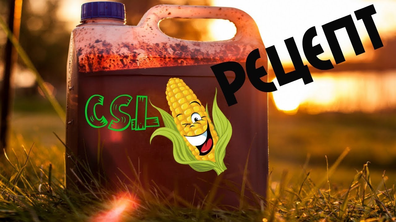 CSl Corn Steep Liquor в домашних условиях. Мощный простой активатор клева.