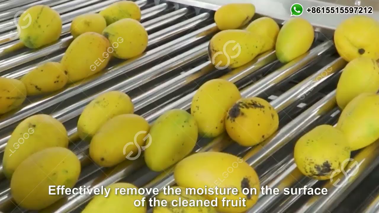 Complete Mango Washing Waxing Grading Machine/Mango Processing Plant