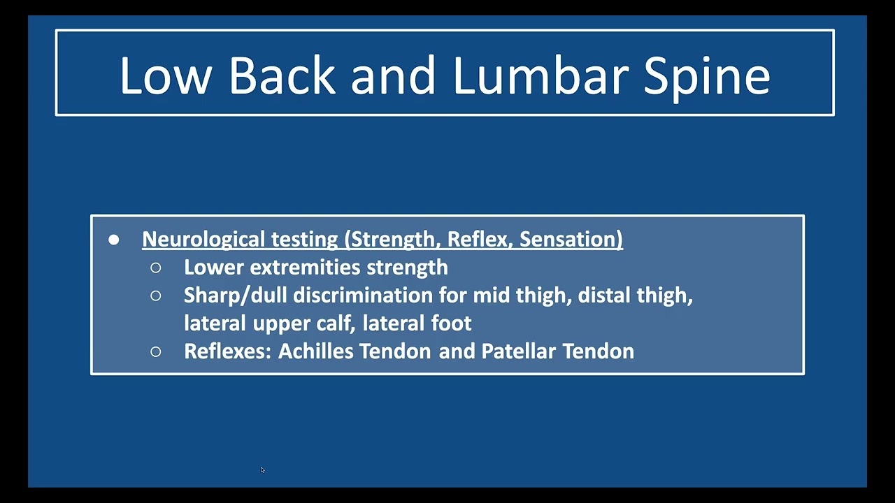 MSK Low Back Full Video   English