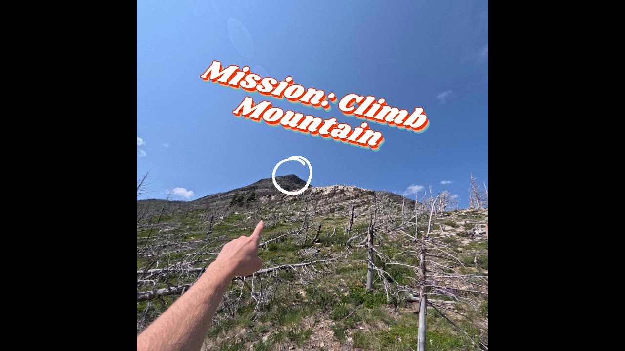 This is what Montana looks like.