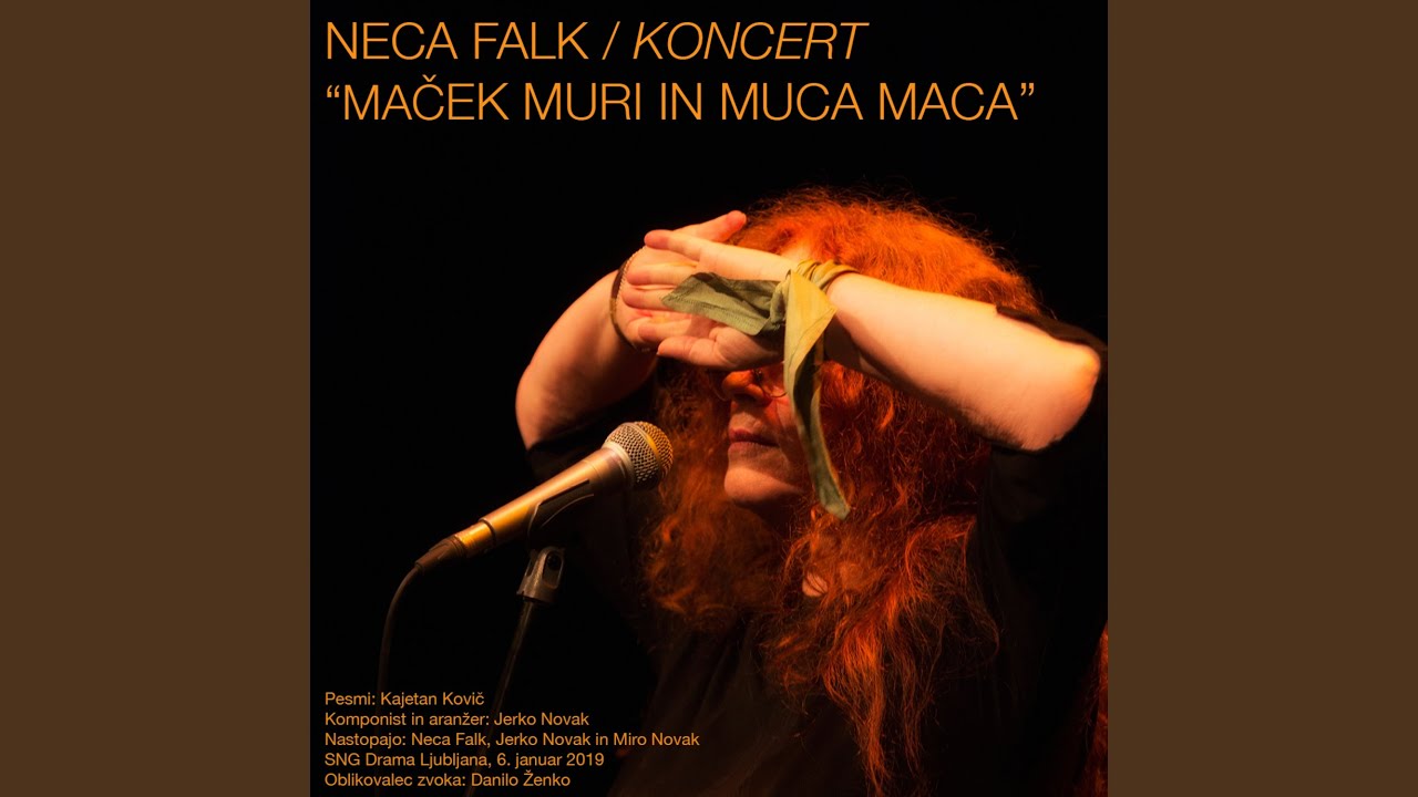 Mačja veselica