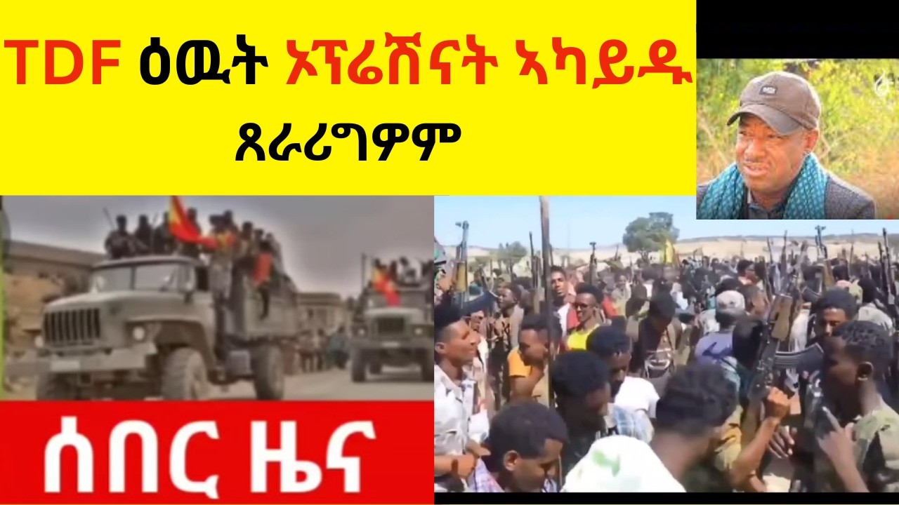 TDF ሑመራ ዝኣትወሉ መዓልቲ ተፈሊጡ?  //  TDF ዕዉት ኦፕሬሽናት ኣካይዱ  // ጸራሪግዎም