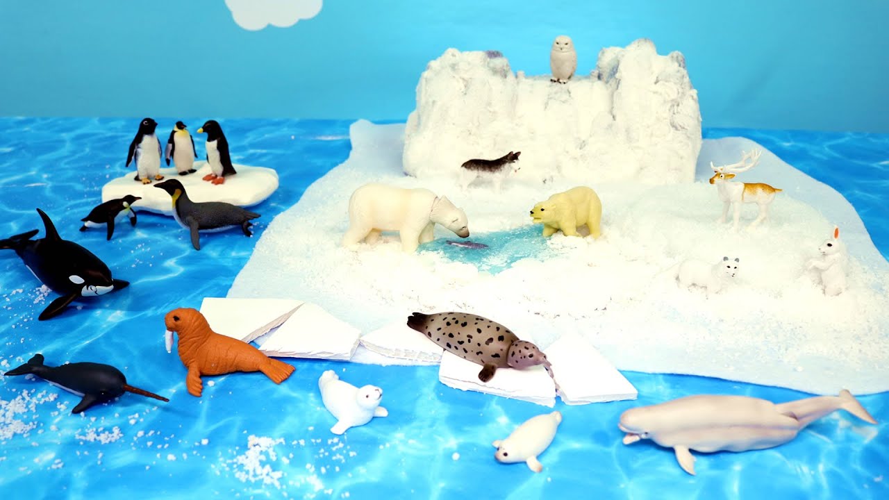 Fun Arctic and Antarctica Animal Figurines and Diorama - Learn Animal Names