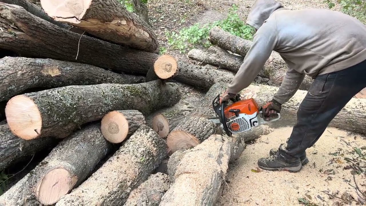 8 жовтня 2023 р.🌳STIHL💪🌳