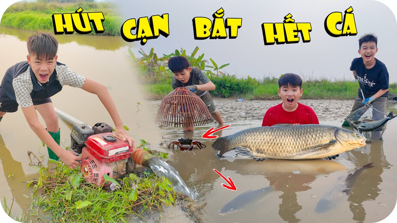 H&uacute;t Nước Bắt Sạch C&aacute; Trong Đầm Nước Bỏ Hoang | Min Min TV Minh Khoa