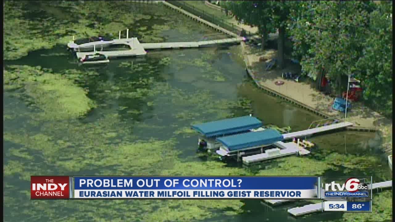 Algae is growing problem at Geist Reservoir