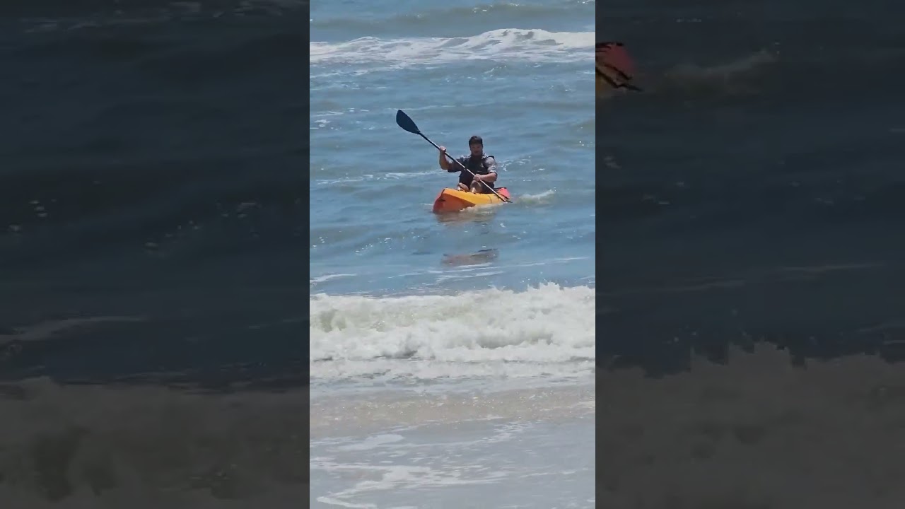How to catch a shark 🦈  Happy Shark Week