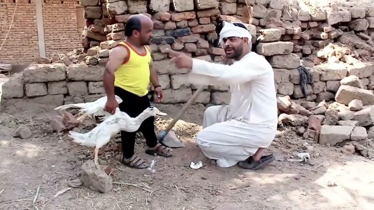 سعيد حرامى البط عايز يتجوز اخت عصام بعد اما سرق بطهم ووزهم واتقفش قفشه السنين #السعوديه