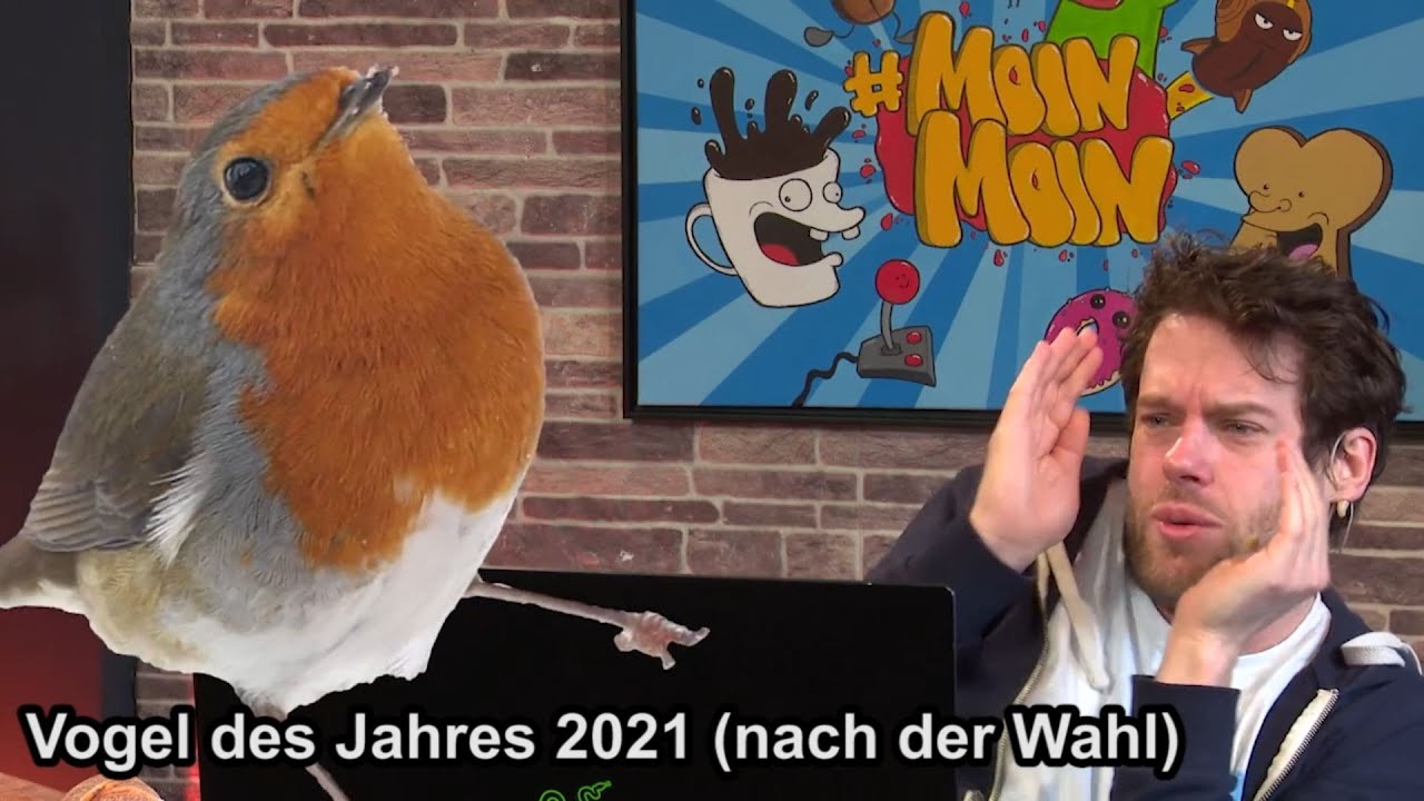 Will'sche Weisheiten #195 | Florentin Will erklärt den Vogel des Jahres