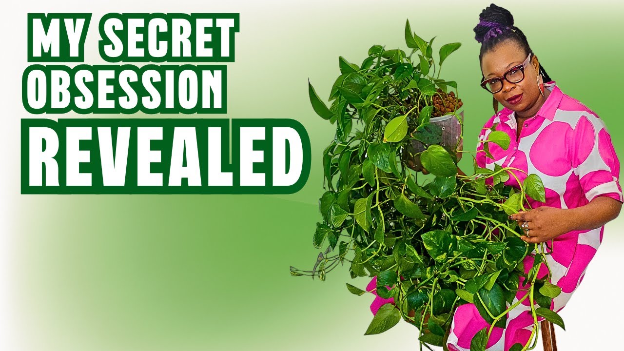 I Bet You Didn't Know I Love Trailing Plants! | Trailing Plant Tour