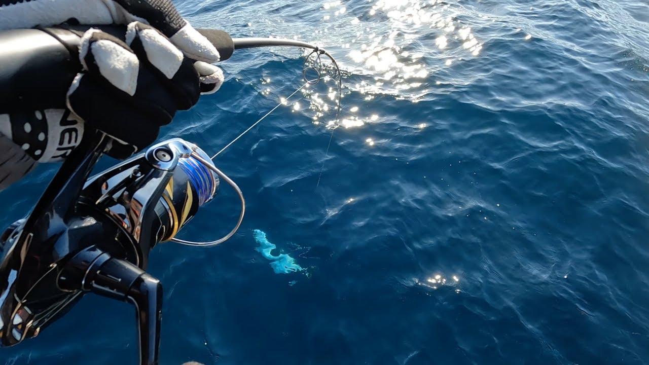 【丹後ジギング】初心者にブリは釣れるのか！？