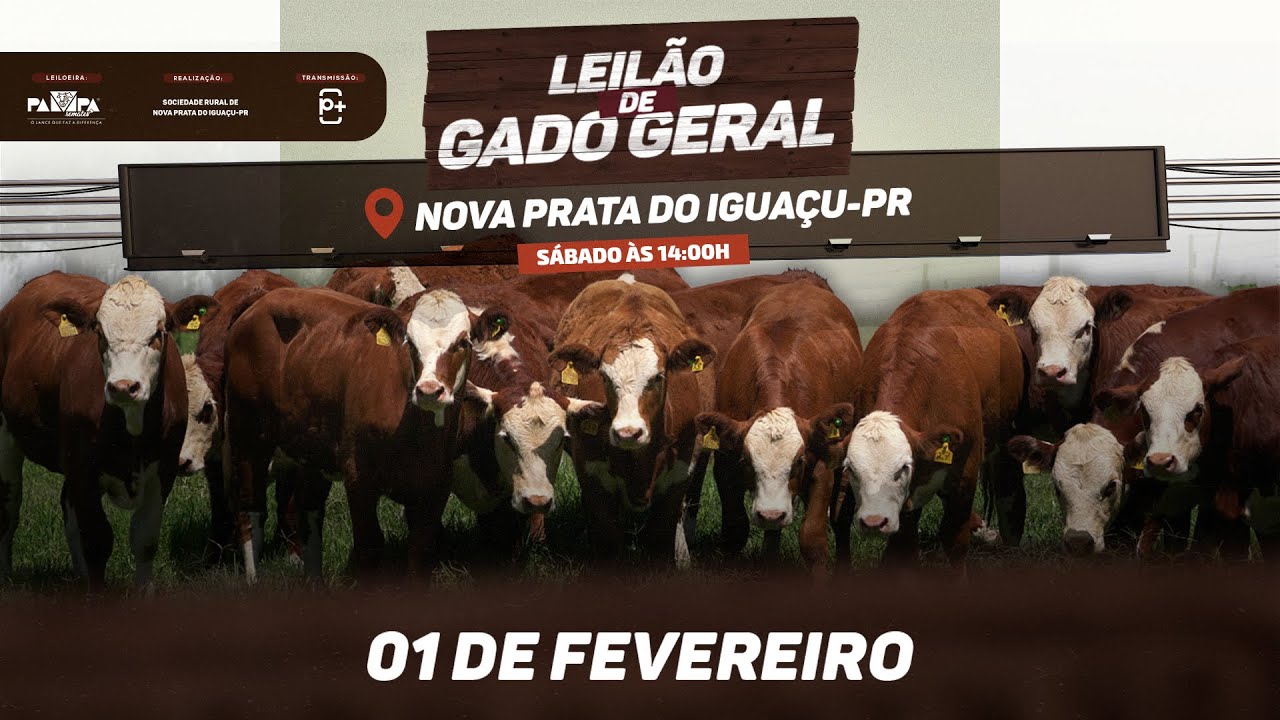 Leilão de Gado Geral, NOVA PRATA DO IGUAÇU/PR 01/02/2025 14:00h