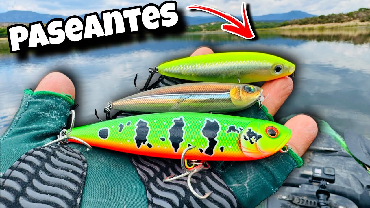 C&oacute;mo pescar con SE&Ntilde;UELOS DE SUPERFICIE | Pesca con paseantes, t&eacute;cnica y equipo 