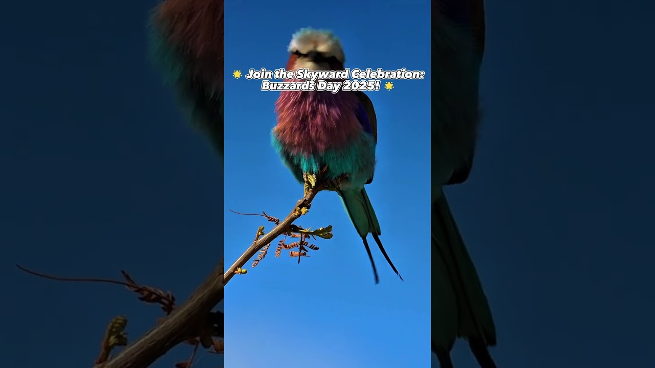 🌟 Join the Skyward Celebration: Buzzards Day 2025! 🌟